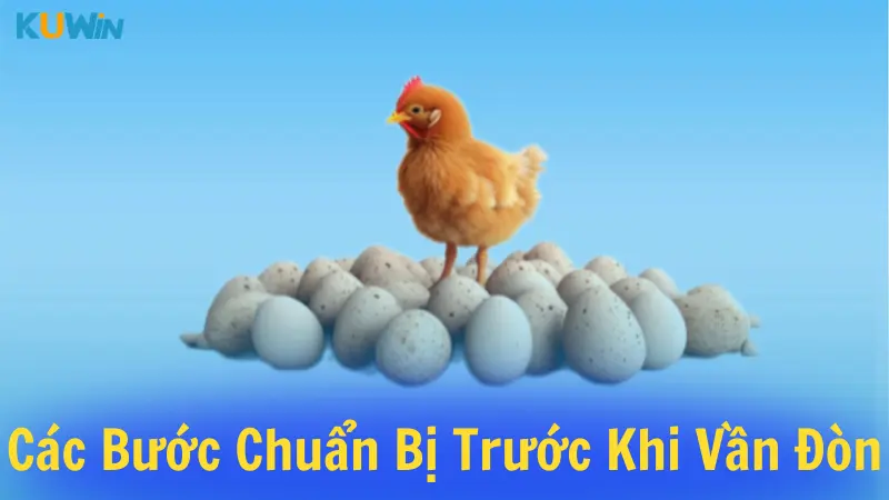 Các bước cần chuẩn bị trước khi vần đòn