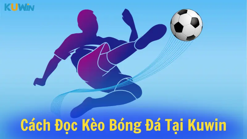 Cách đọc kèo bóng đá