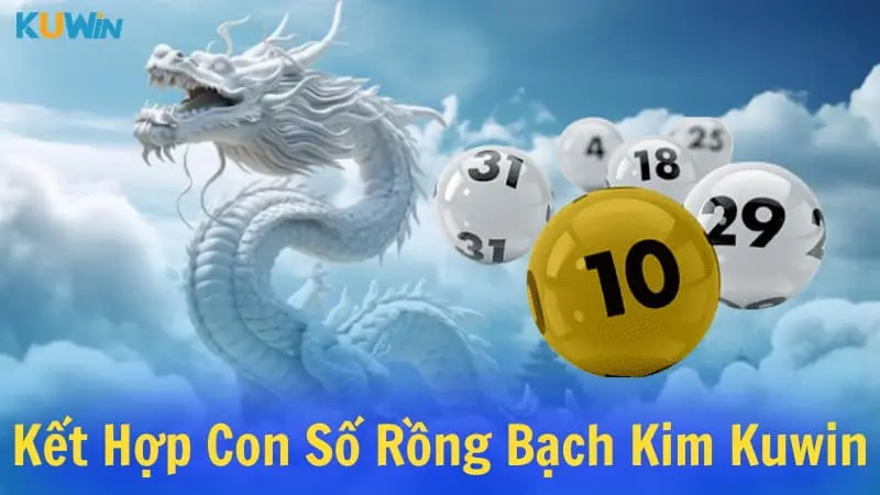 Kết hợp các con số rồng bạch kim