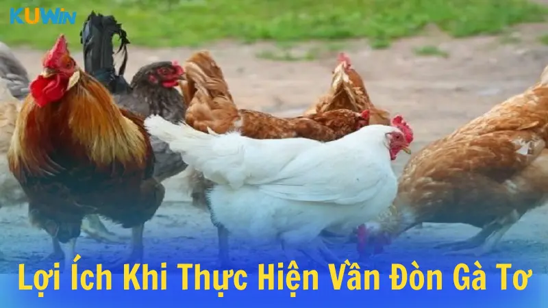 Lợi ích khi thực hiện vần đòn gà tơ