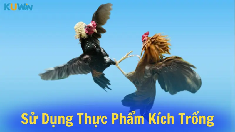 Sử dụng thực phẩm kích trống SELEN + VIT E