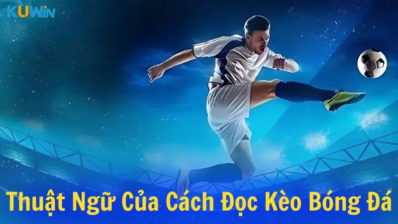 Các thuật ngữ trong cách đọc kèo bóng đá